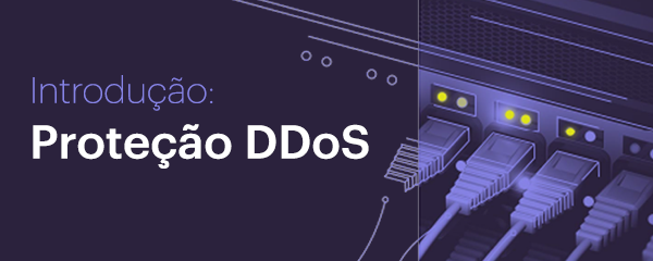 Introducao-Protecao-DDoS