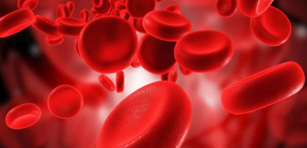 Mengapa Zat Besi Sangat Penting Untuk Kesehatan Darah