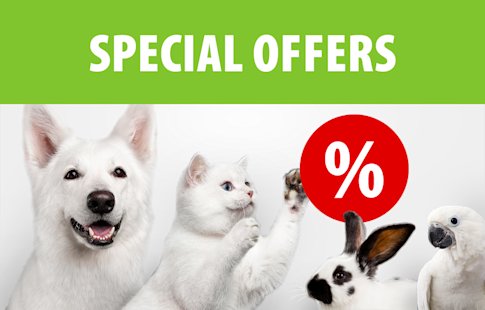 Special Offers