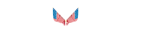 Stars & Stripes Logo White
