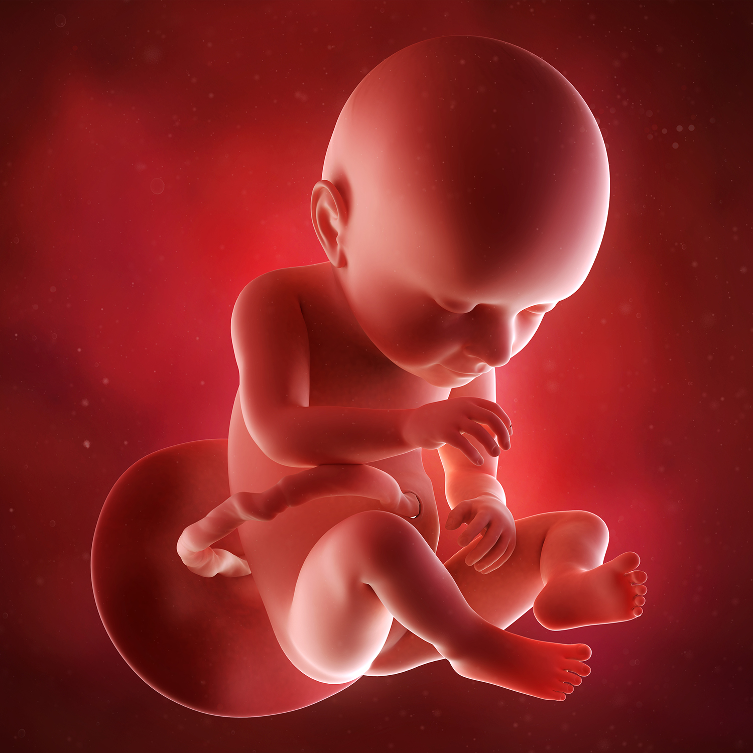 Эмбрион на 37 неделе беременности