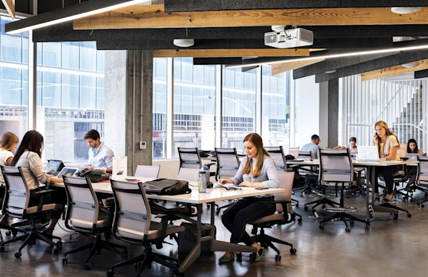 ergonomic collaborative office setting with adjustable height desks supporting business growth