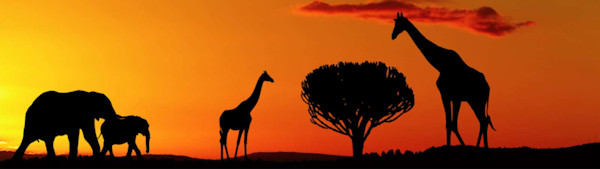 Privacy phone booths