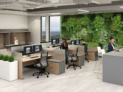 hybrid Biophilic Office