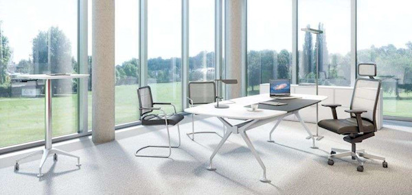 ergonomic seating at a modern conference table adjustable height desks and natural lighting