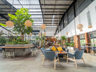 wide open office natural light