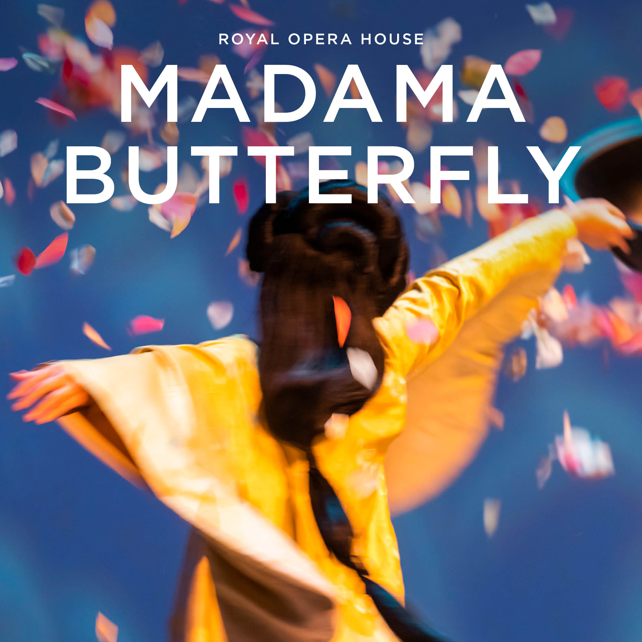 Madama Butterfly photo from the show