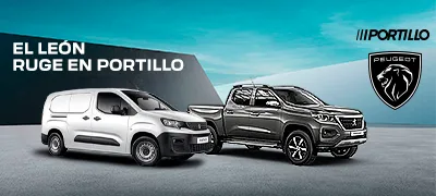 PO | Peugeot flotas