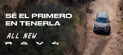 PO BANNER ALL NEW RAV4