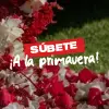 SM | DPS Octubre 2026