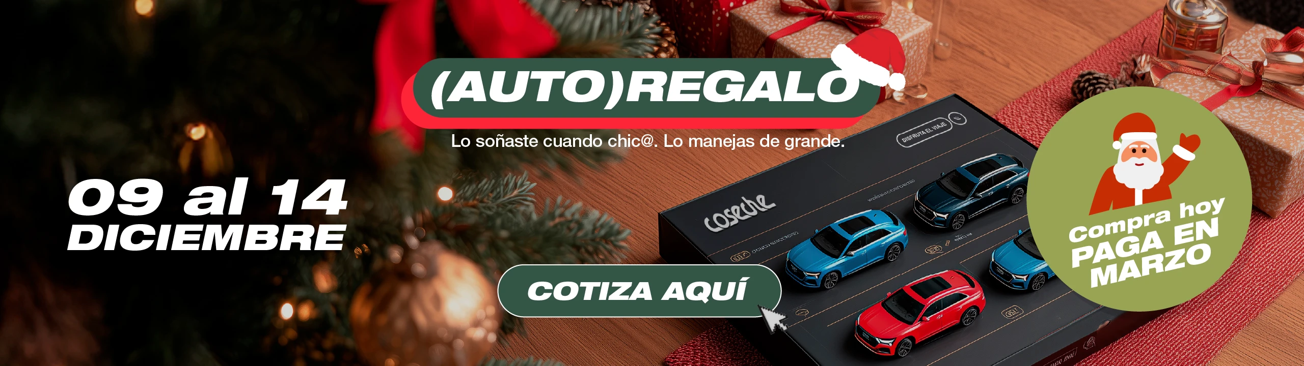 Banner Principal HOME-Desktop COSECHE.jpg