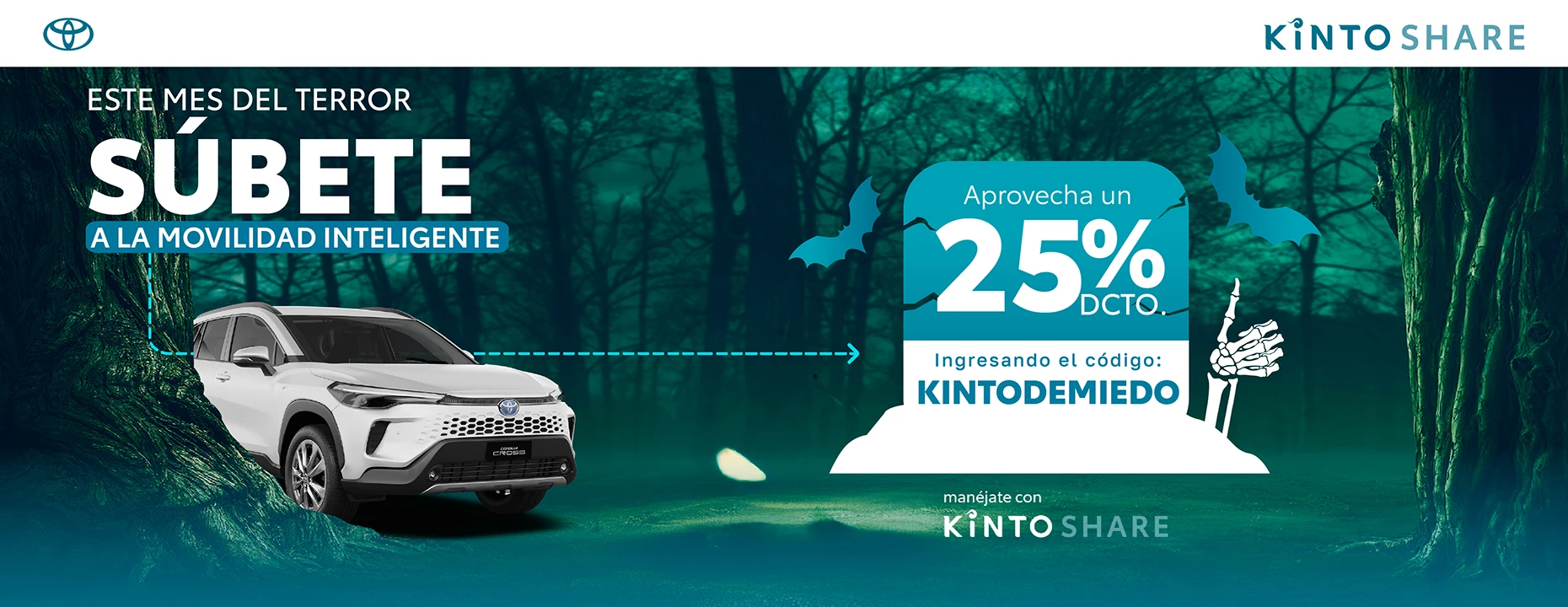 banner kinto (2).jpg