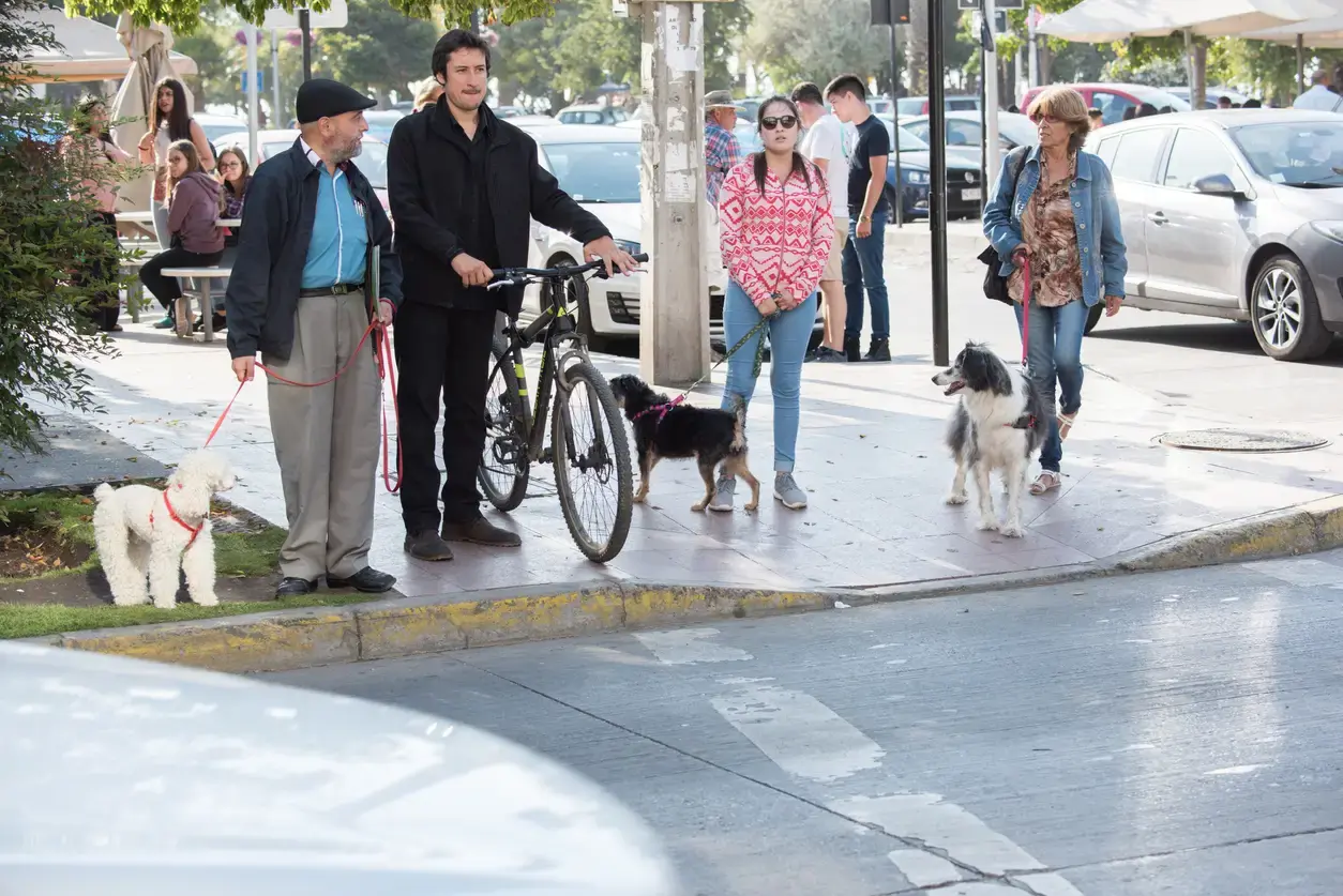 SI | Personas esperando para cruzar