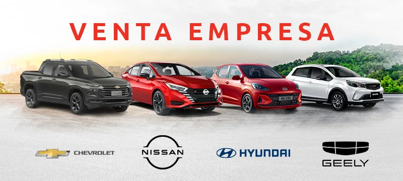 WI | Flotas asesor hyundai