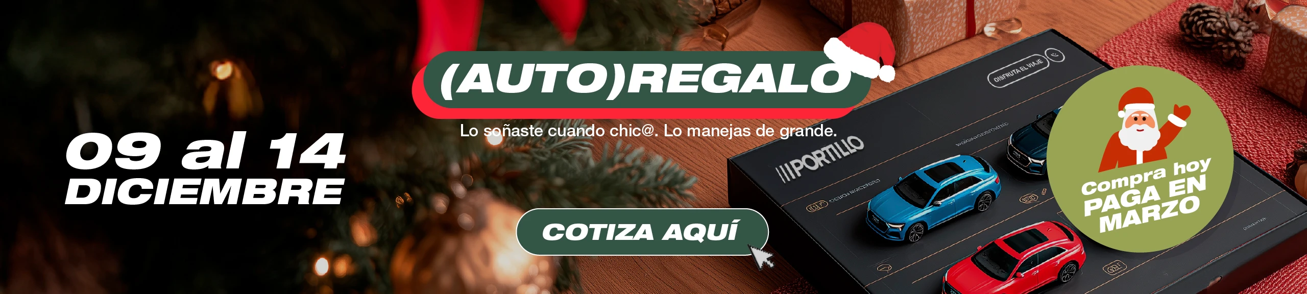 Banner Principal HOME-Desktop PORTILLO.jpg