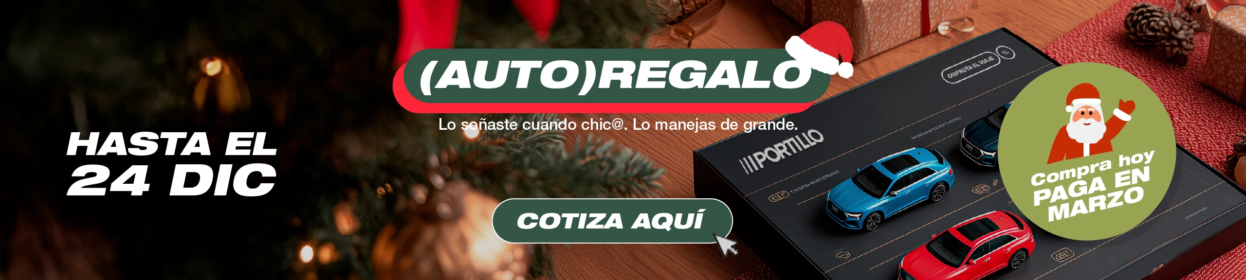 Banner Principal HOME-Desktop PORTILLO.jpg