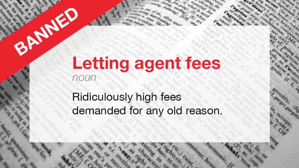 Text showing the dictionary definition of letting agent fees: a noun denoting ridiculously high fees demanded for any old reason
