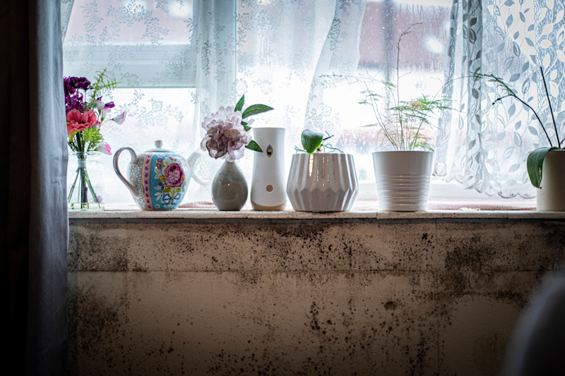 Mouldy wall in temporary accommodation