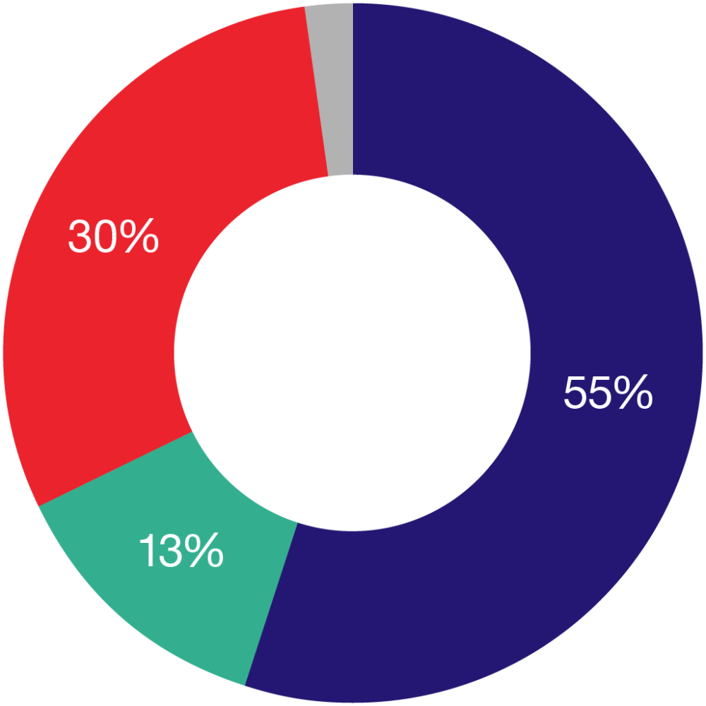 Pie chart shows how we raise money: 
55% from donations and legacies
13% from Shelter shops
30% from funded advice and support
2% from training and publications