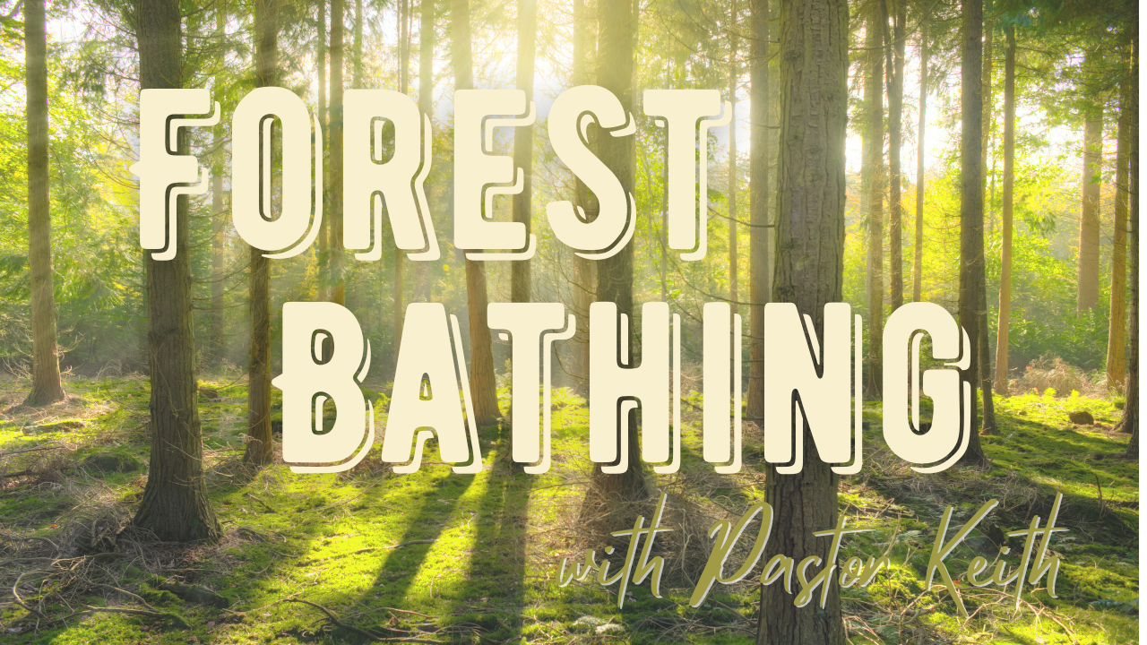 Forest Bathing Img