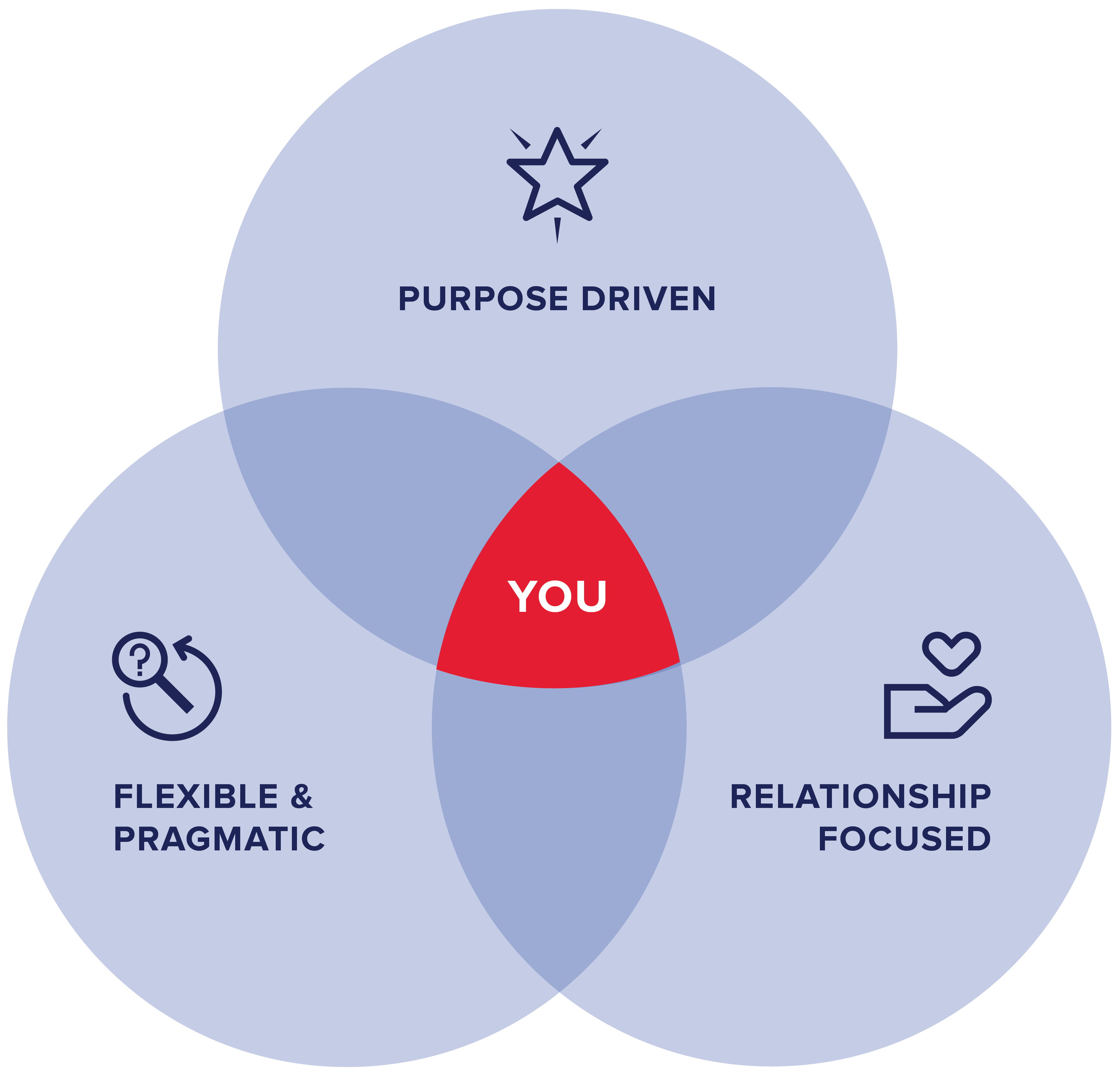 Venn diagram showing that Boost's ideal client is relationship-focused, purpose-driven and pragmatic and flexible.