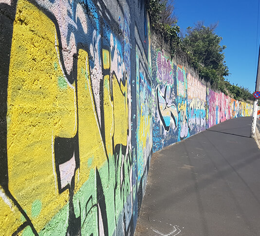 Filming Aroha Novak's Community Arts Toolkit video.