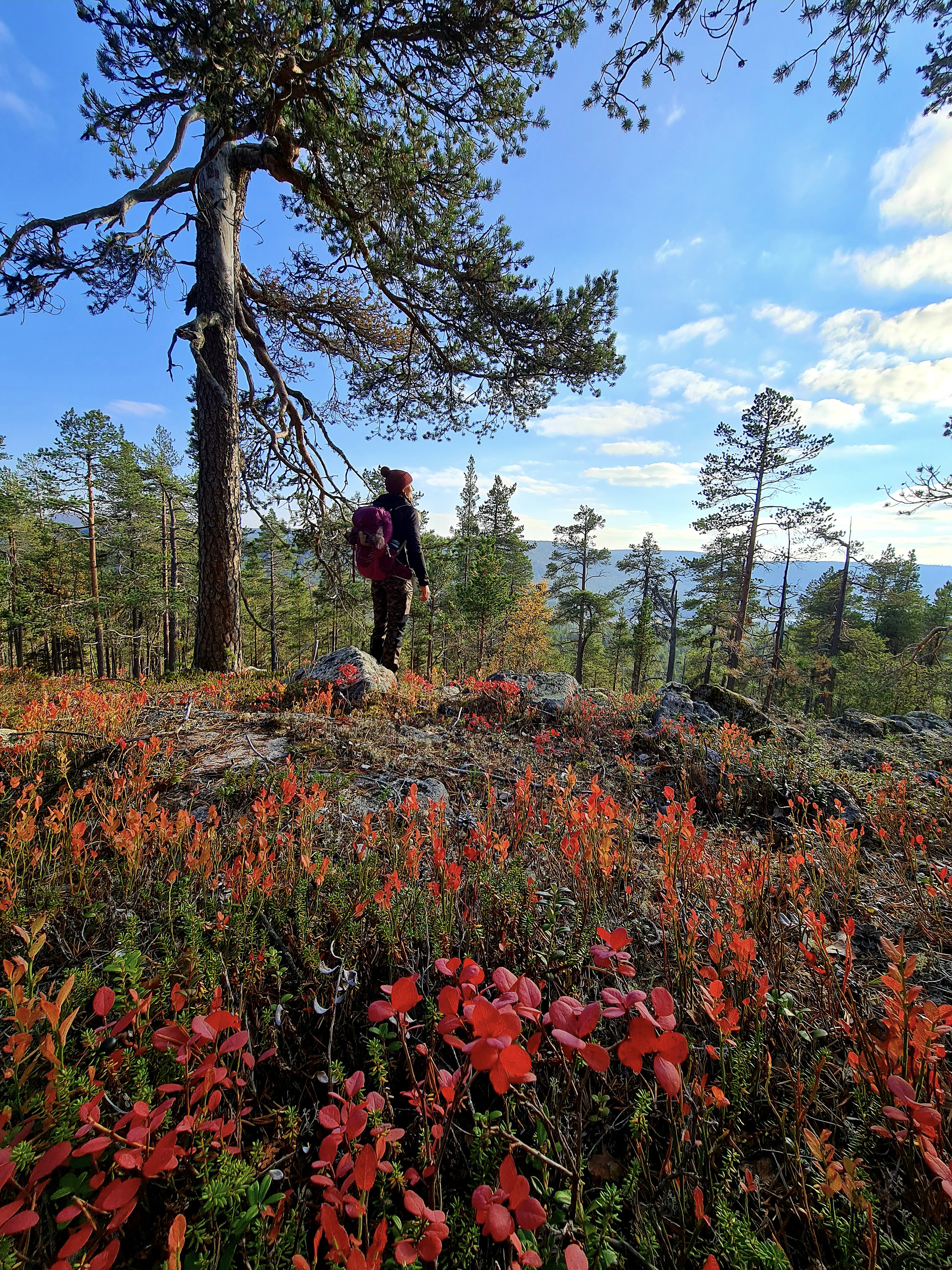 Hiking Summer Autumn 27 Credit Aurora Village Ivalo