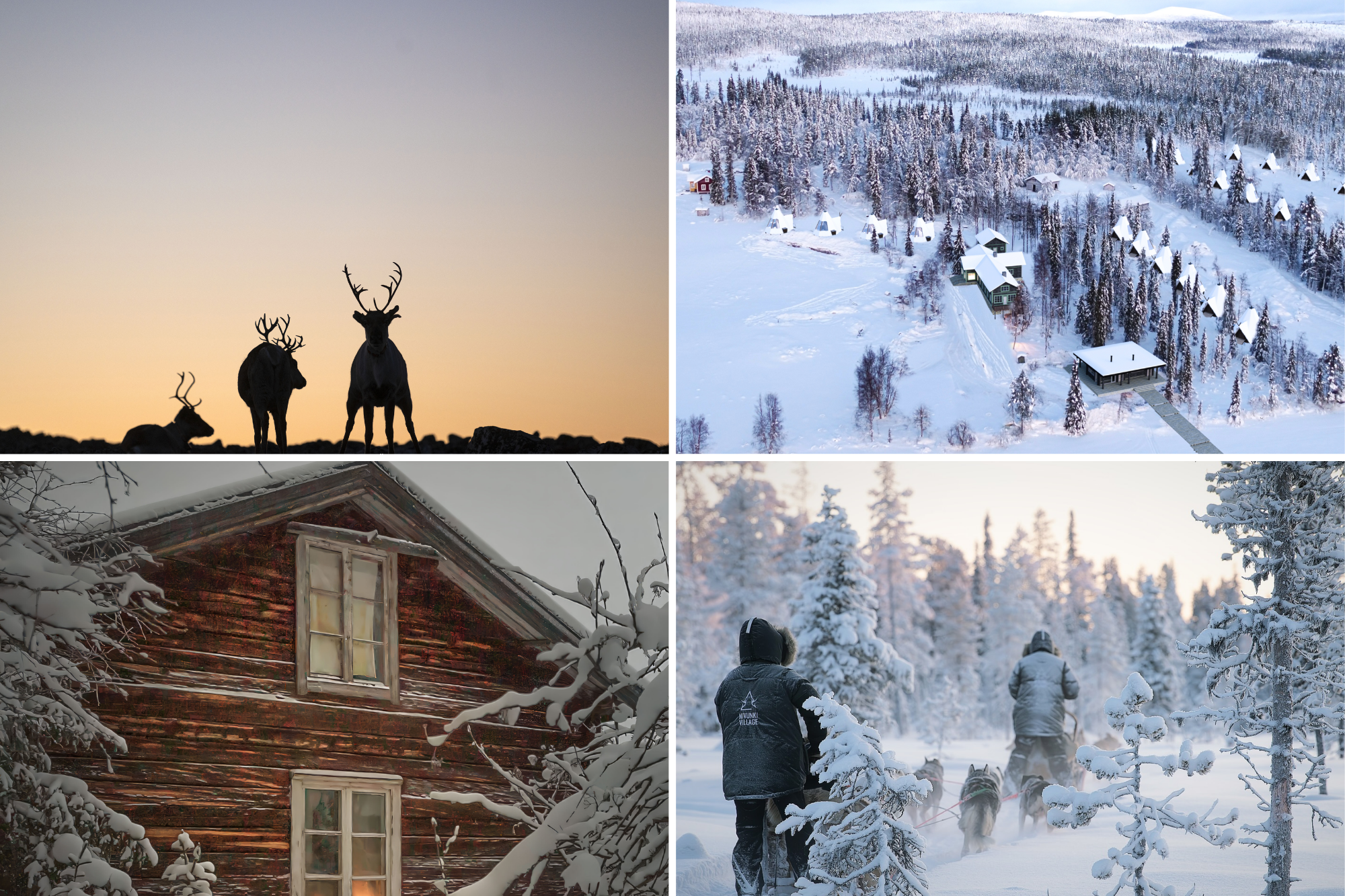 Northern Lights Experience at Nivunki Village