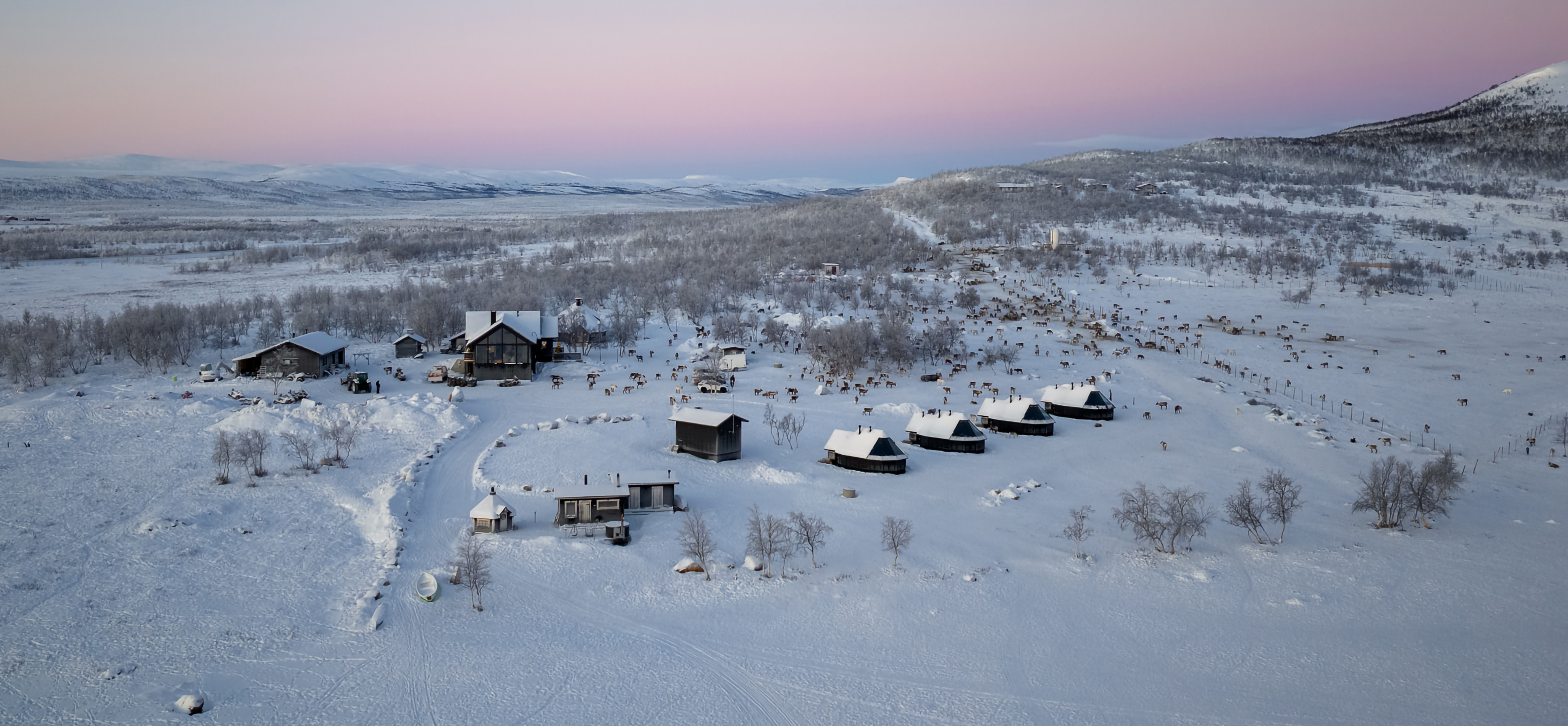banner Reindeer Ranch landscape winter credit as Photo Arctic Land Adventure @arcticlandadventure