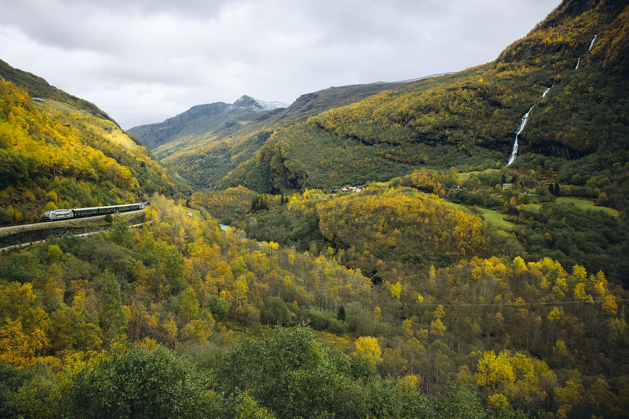 Norway Train Autumn