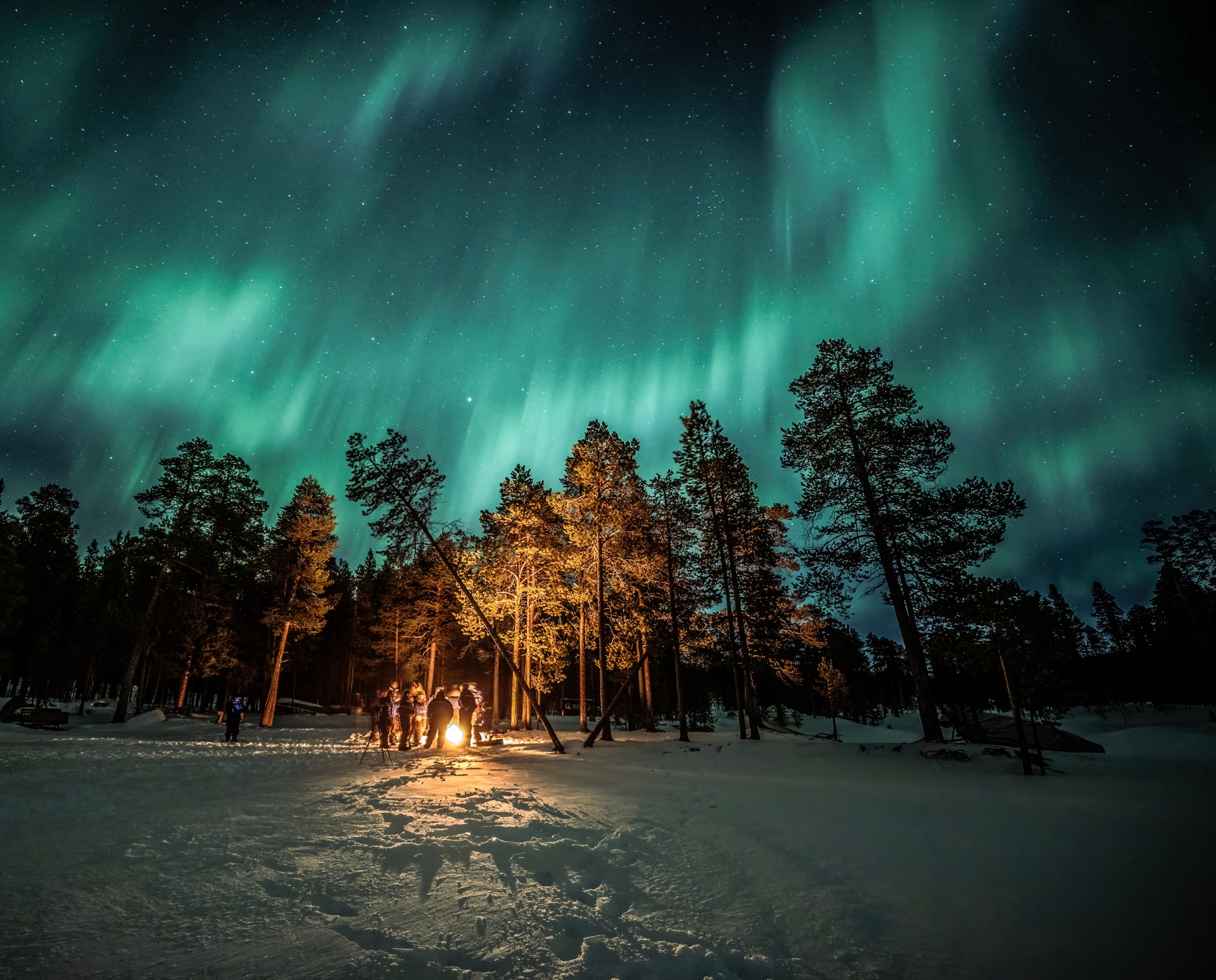 Finland Ivalo auroras, while northenr light hunting by car - Photo by Lari Laasjärvi WEB