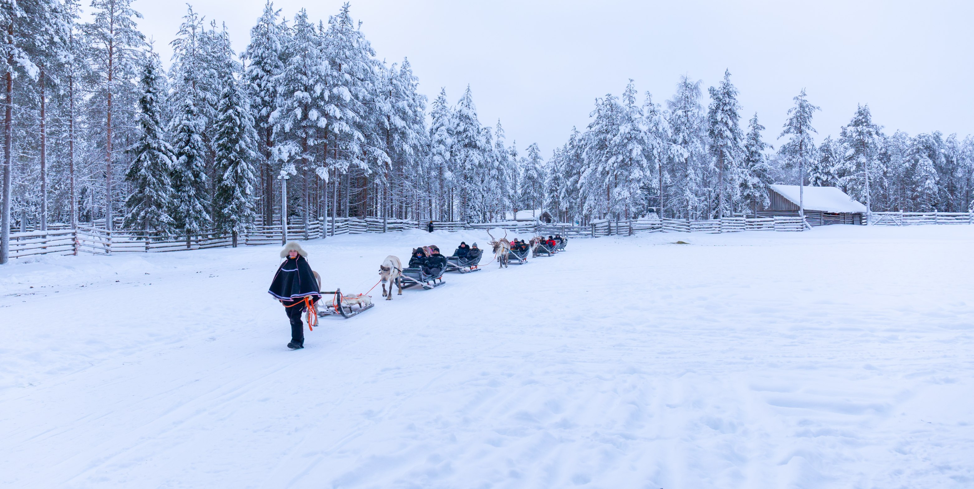 web Finland Luosto reindeers4 by Lari Laasjarvi