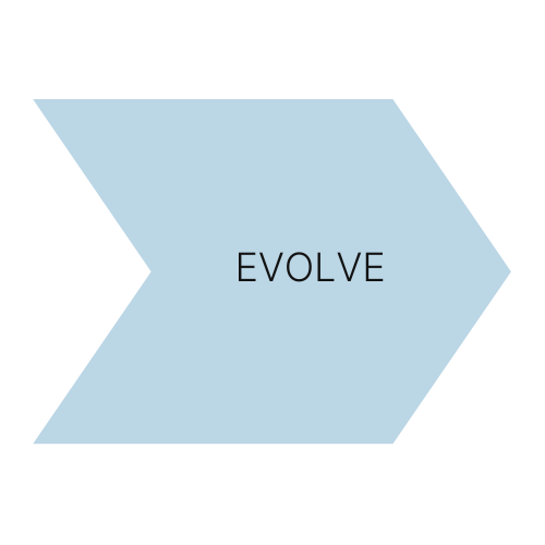 Climate action plan graphic - evolve