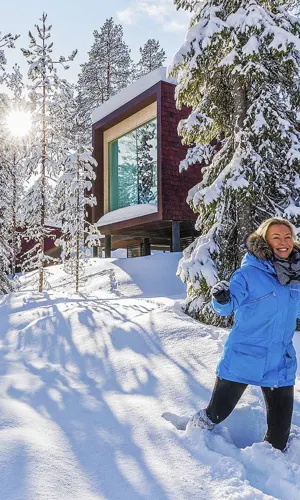 Arctic TreeHouse Hotel