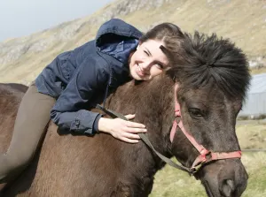 Faroe Islands Horse