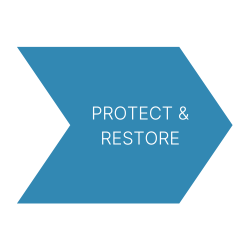 Climate action plan graphic - protect and restore