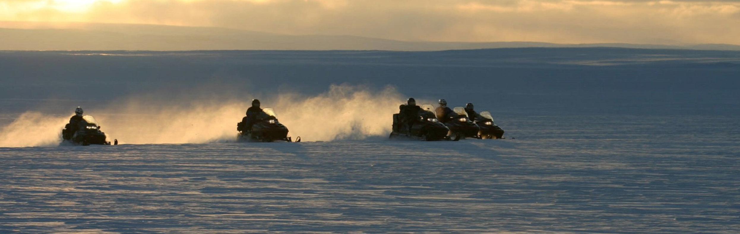 Screen Shot 2019-08-15 at 1.43.46 pm