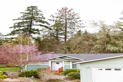 Green Exterior with trees