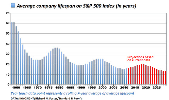 Average Lifespan of S&P 500 Company
