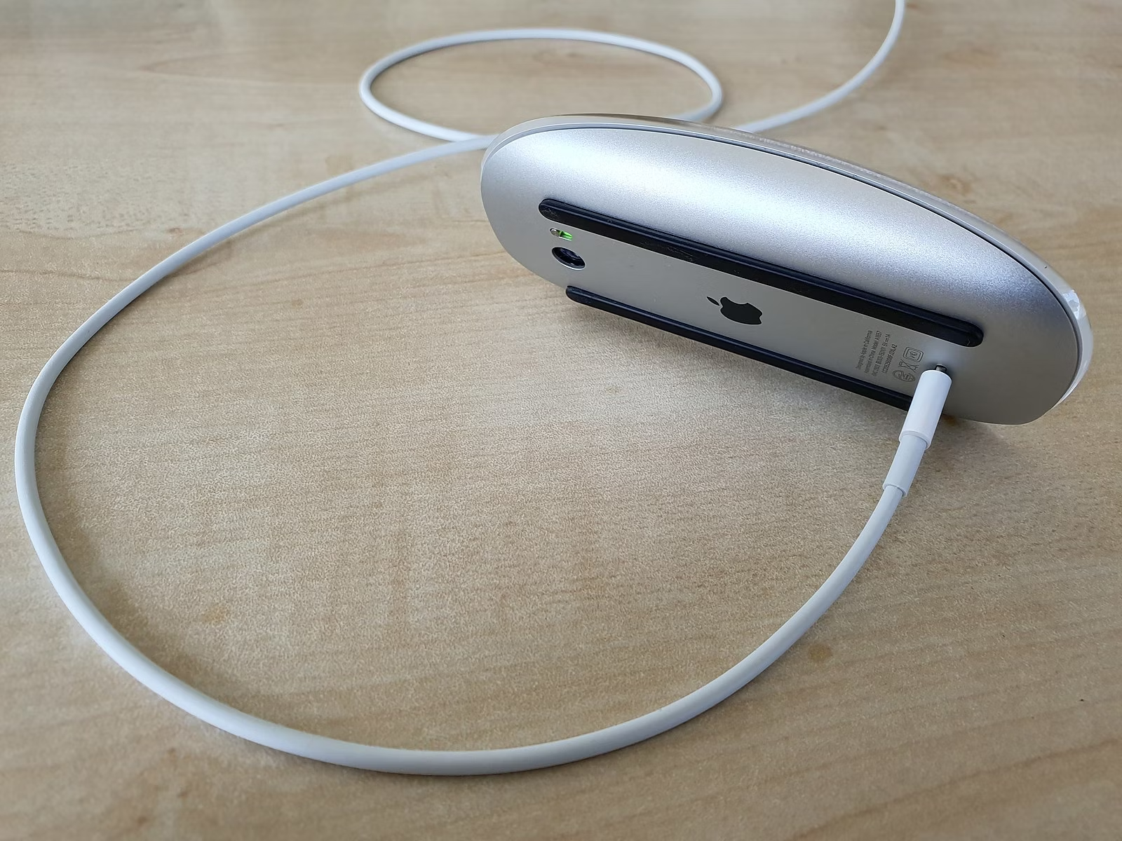 Mouse