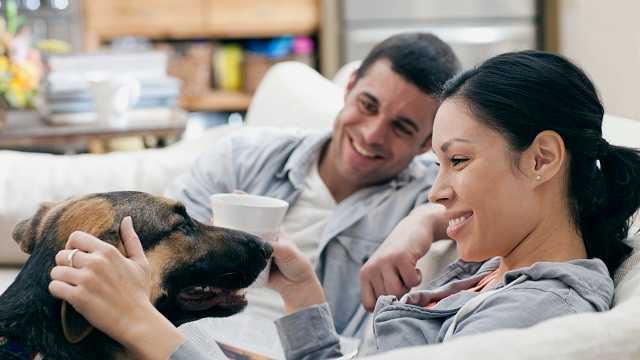 A couple on the couch petting a dog