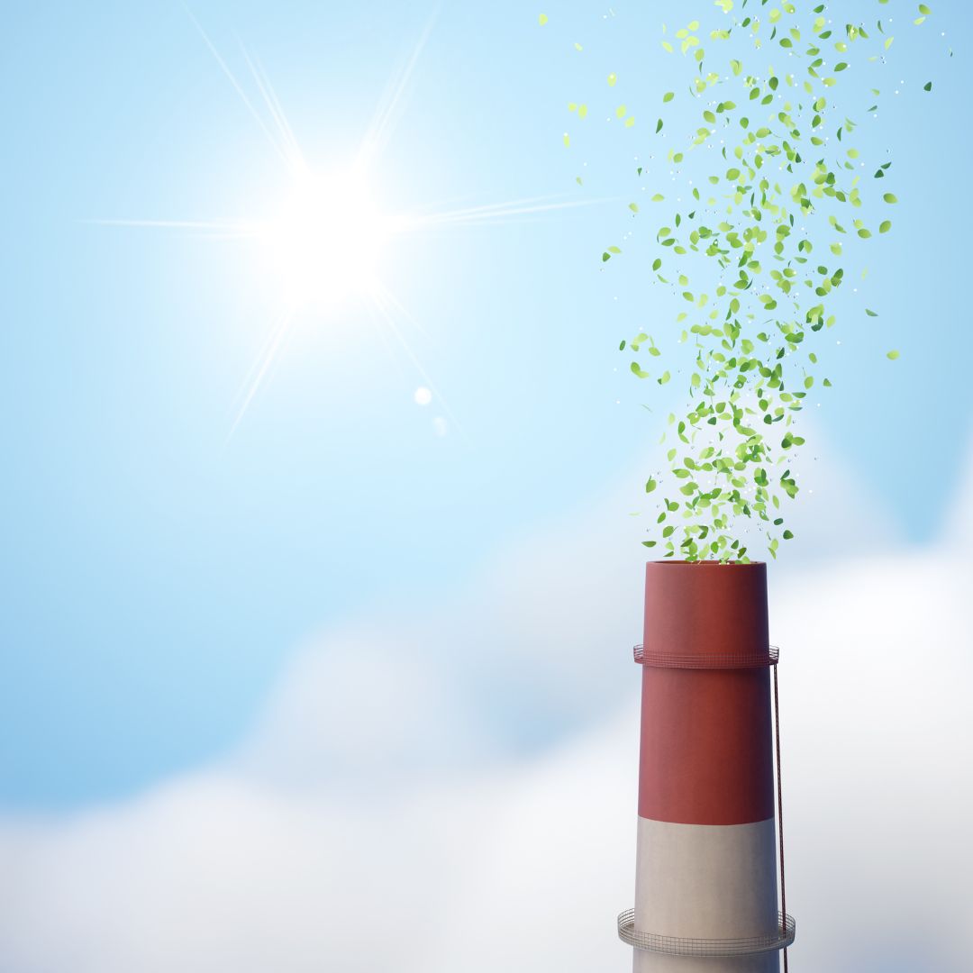 Supporting Industrial Decarbonization