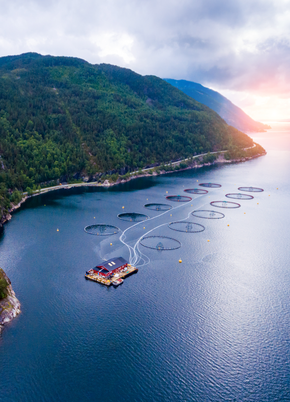 Fish farming