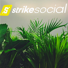 Strike wall