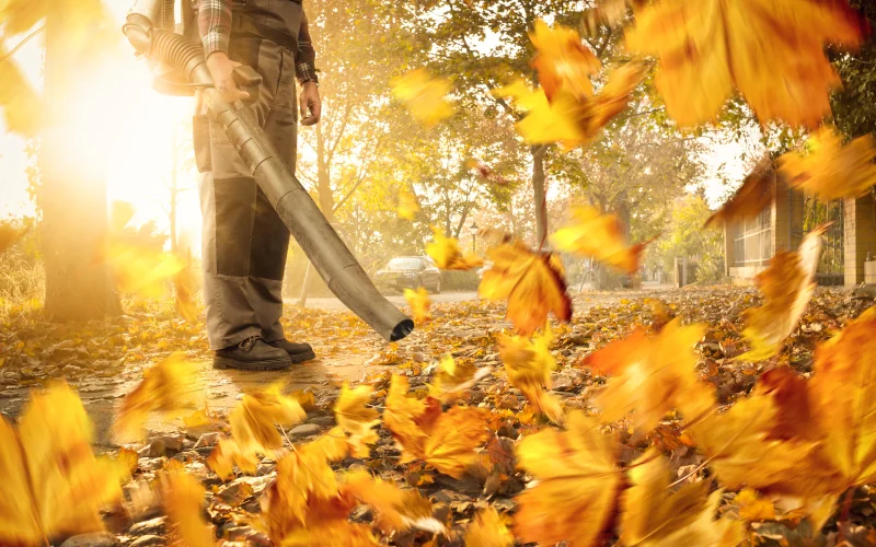 GaLaBauer bläst Laub im Herbst