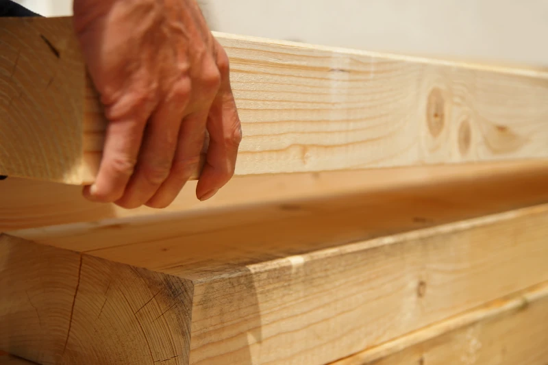 Holzbau-gegen-Wohnungsbaukrise-Beitragsbild6.webp