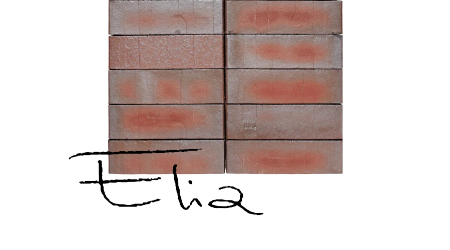 Wienerberger Ziegelsteine Elia