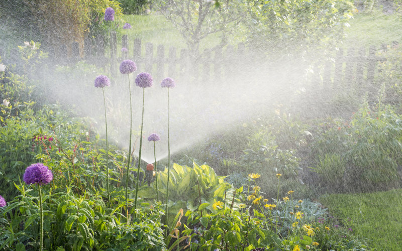 Gartensprenger verteilt Wasser in einem Garten