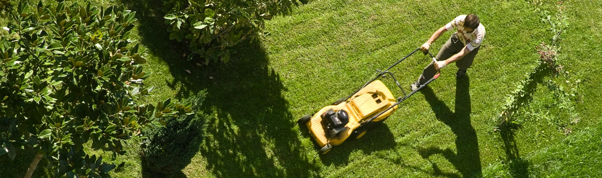 Person mäht Rasen mit gelbem Rasenmäher im Garten.