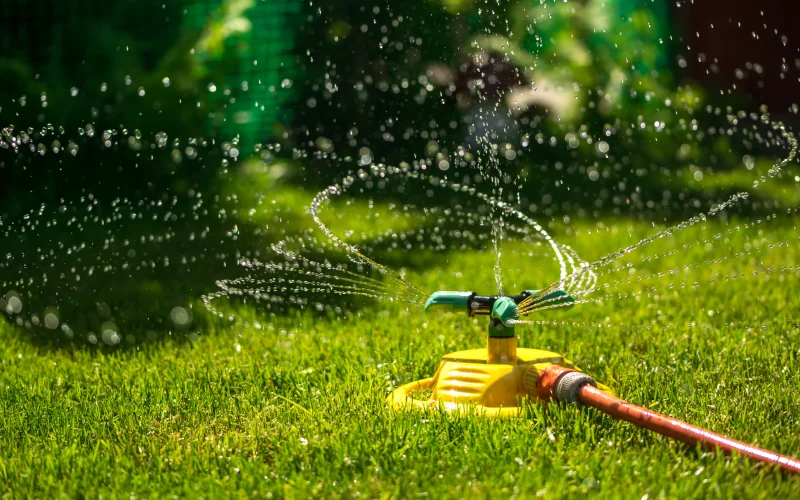 Gartenschlauch auf grünem Rasen